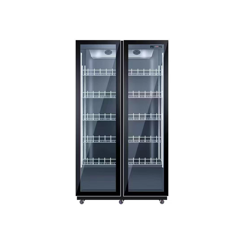 Double Door Air Cooling Refrig - Wine Beer Dual Zone 评论和价格