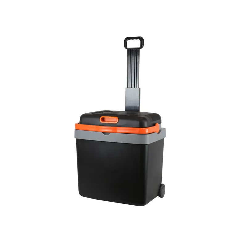 33L Portable Electric Car Refr - Wine Beer Dual Zone 评论和价格